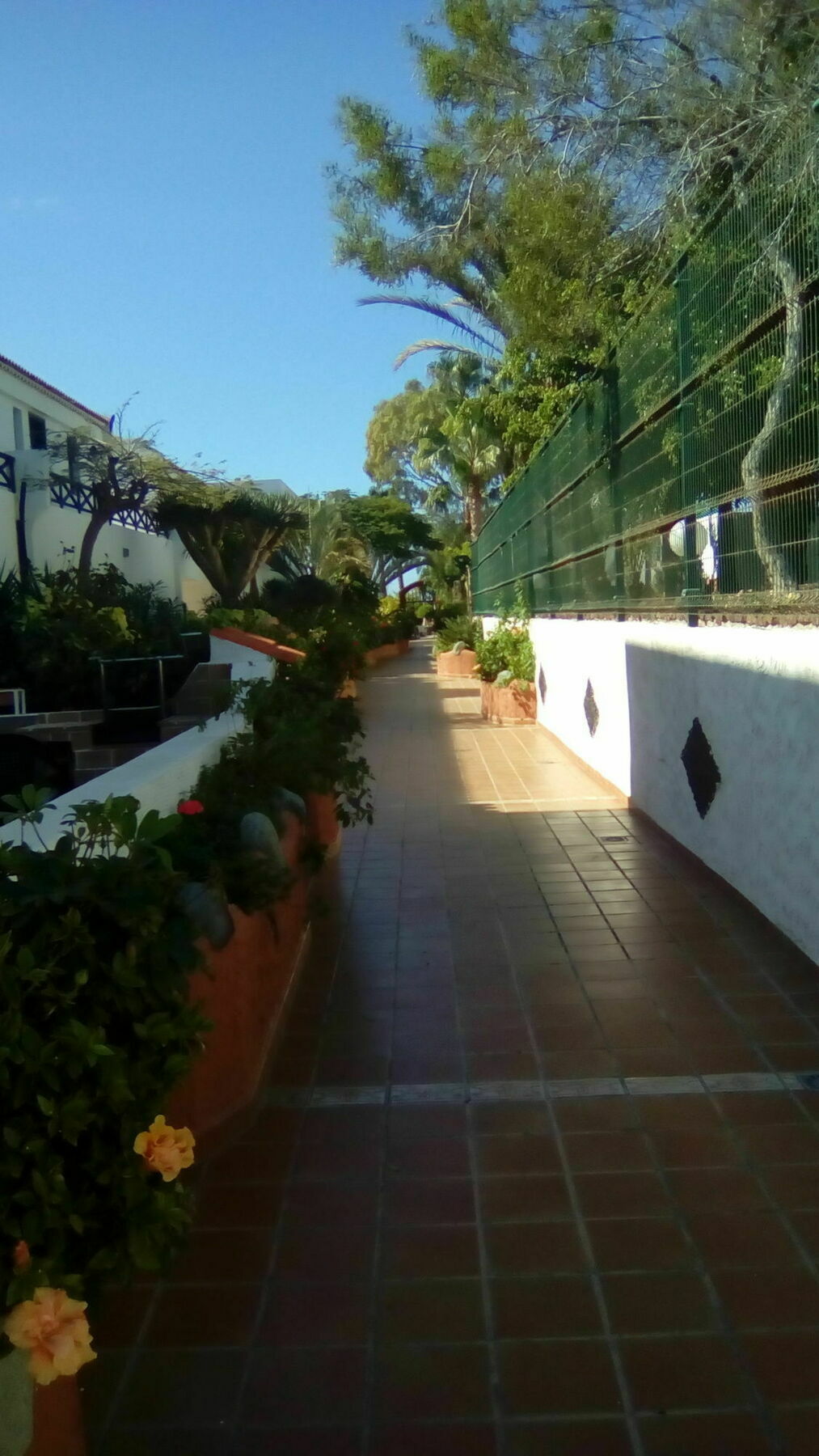 Parque Don Jose 110 Apartment Costa Del Silencio Ngoại thất bức ảnh